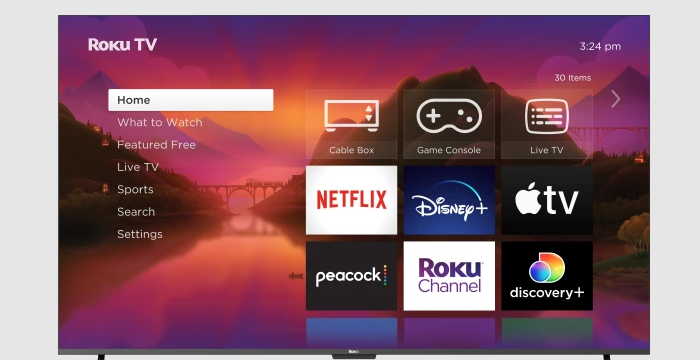 Netflix on Roku TV